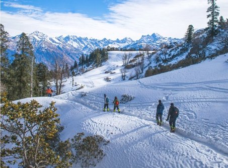 Blissful Tour Vacations